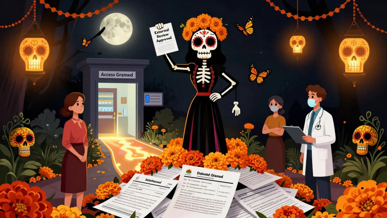 Patient standing atop denied forms turned to flowers, holding approved letter as skeletal butterflies fly around.